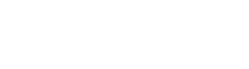Critique